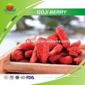 Best selling dried Goji berry